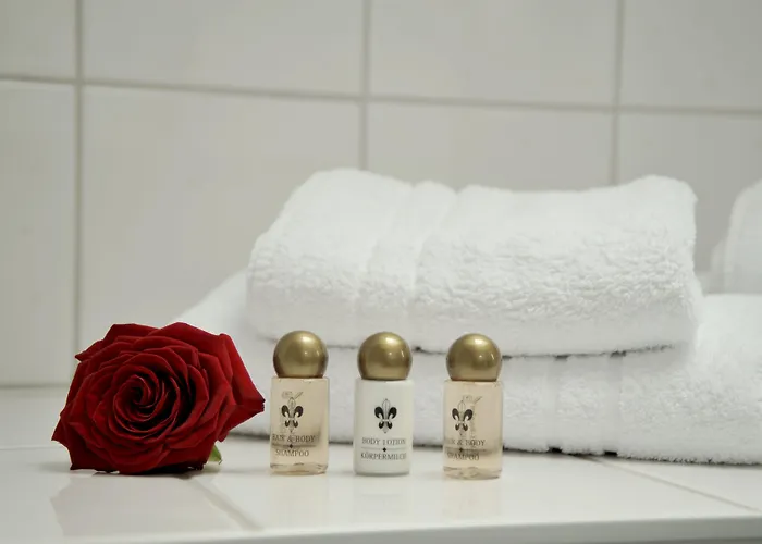 Genusshotel Krone & Roadtrips Bei Basel فندق Inzlingen